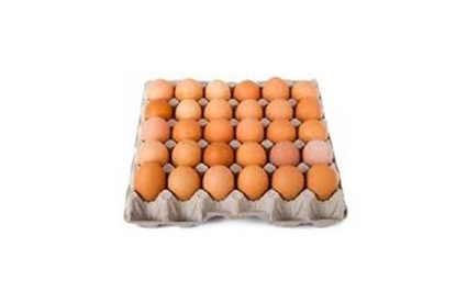 Picture of FRESH EGGS X30 MEDIUM KARTUNA